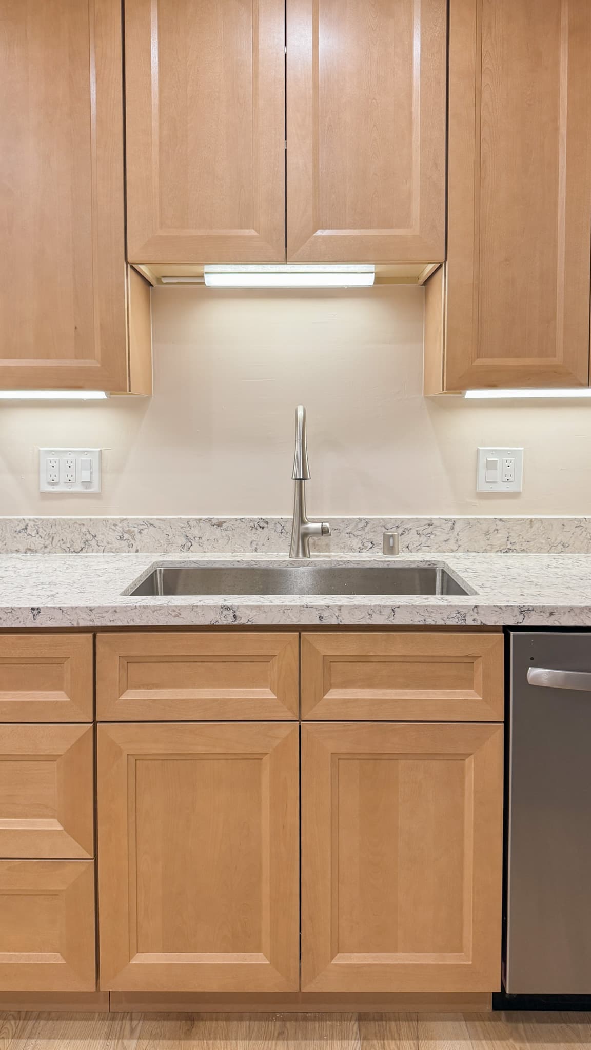 Kitchen Remodel in Sacramento — raised-panel cabinets, undermount sink, quartz countertop, under-cabinet lighting, stainless appliances