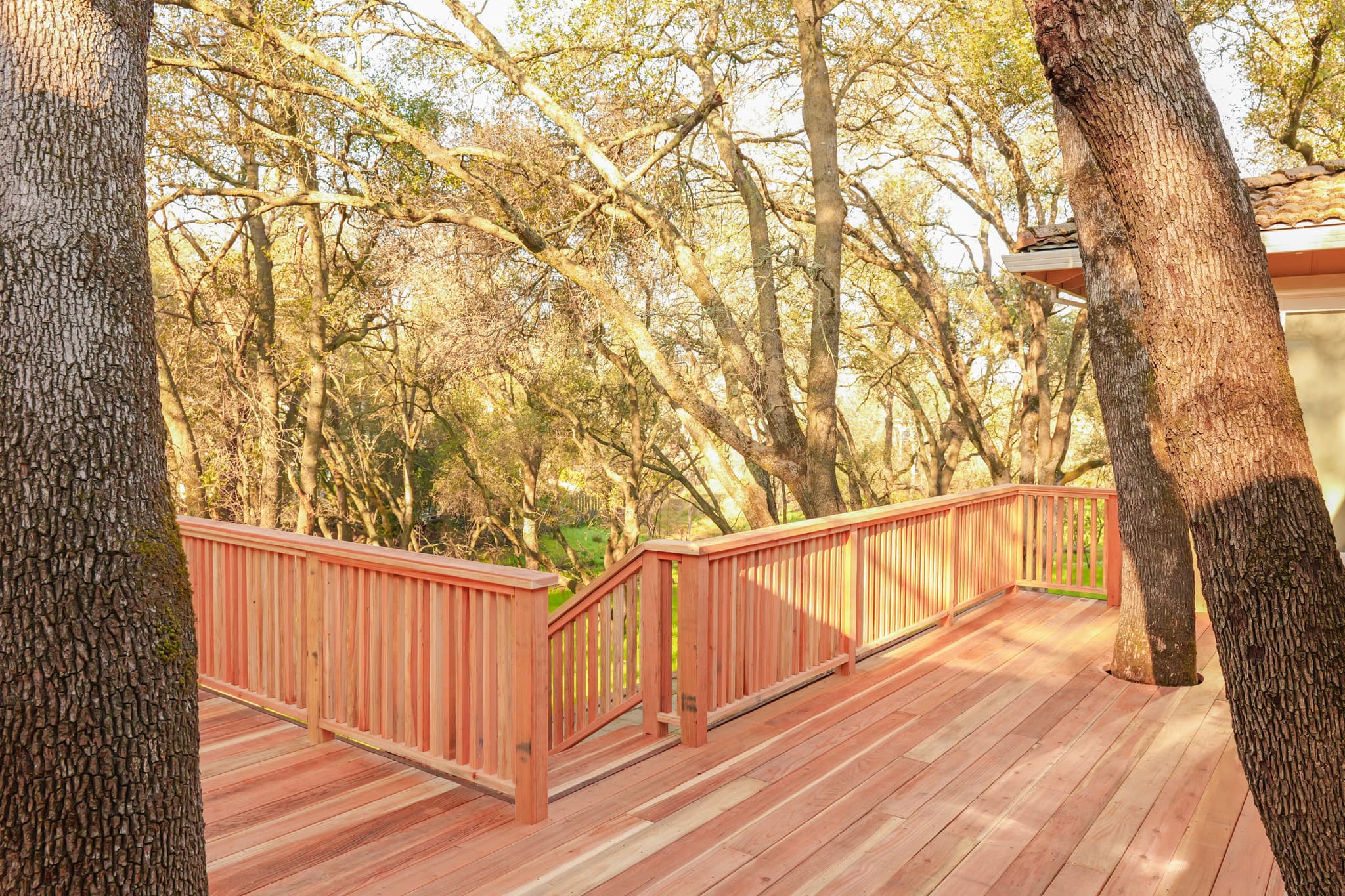Exterior Remodel in Citrus Heights — photo 12