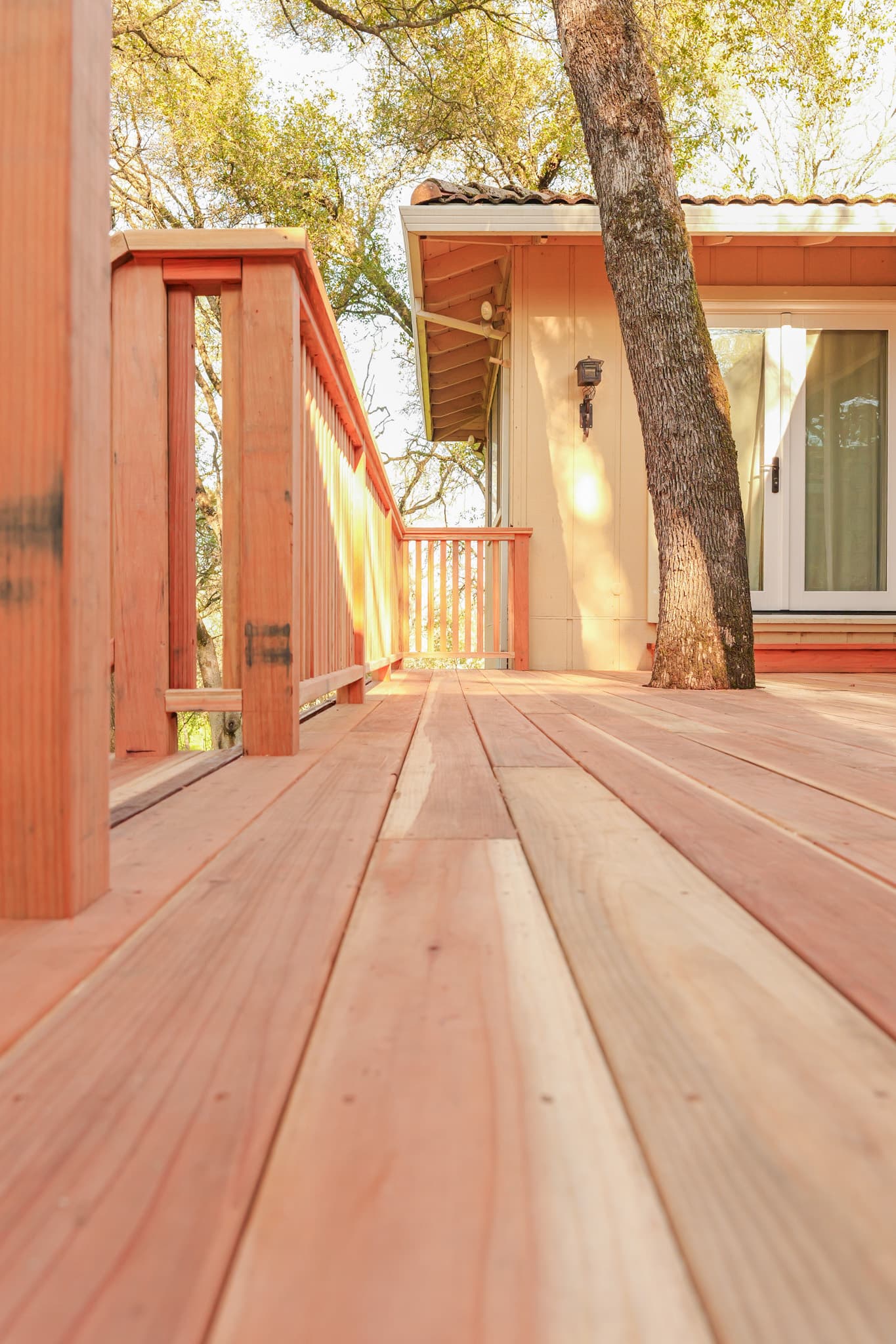 Exterior Remodel in Citrus Heights — photo 14