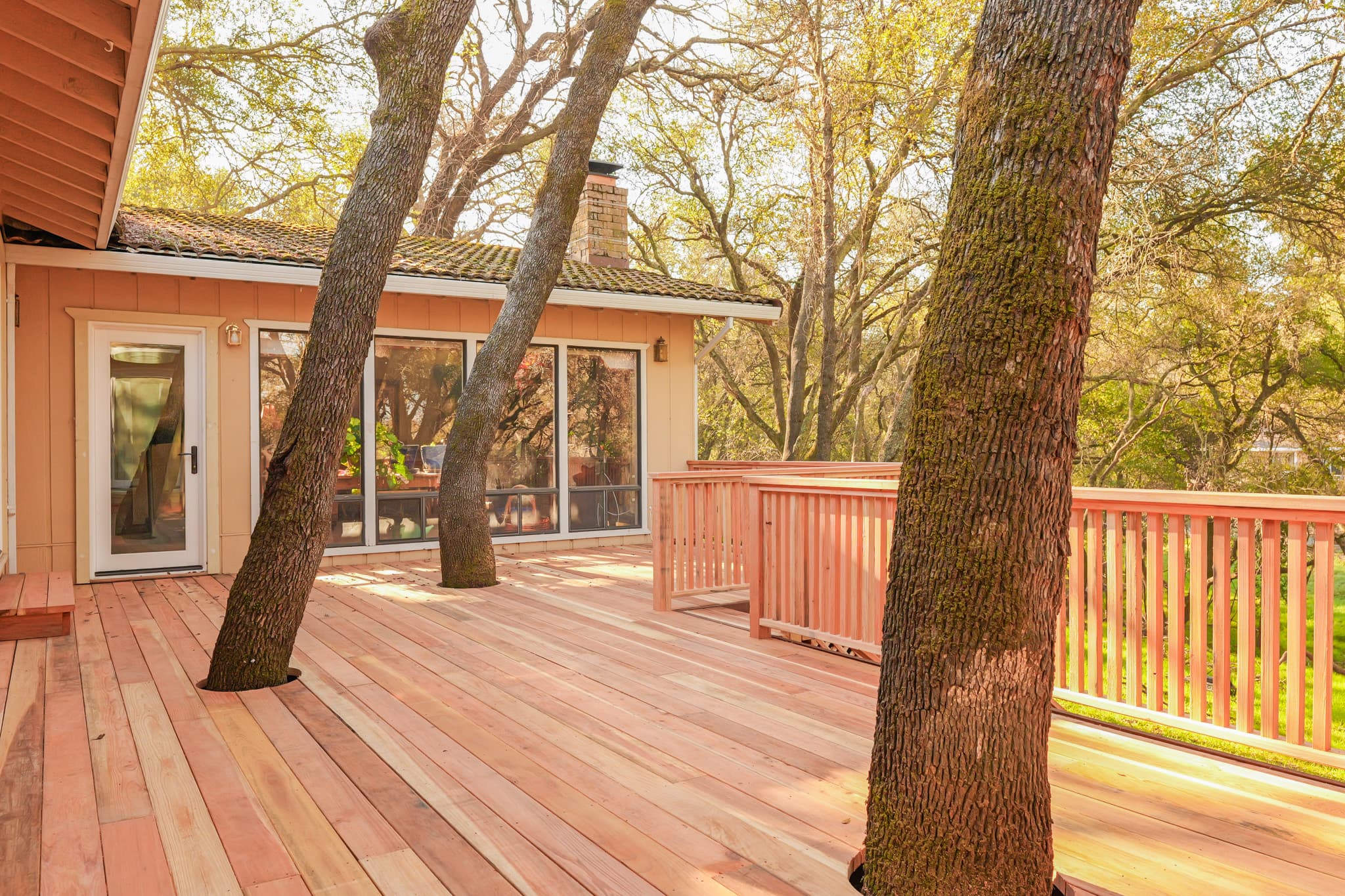 Exterior Remodel in Citrus Heights — photo 18