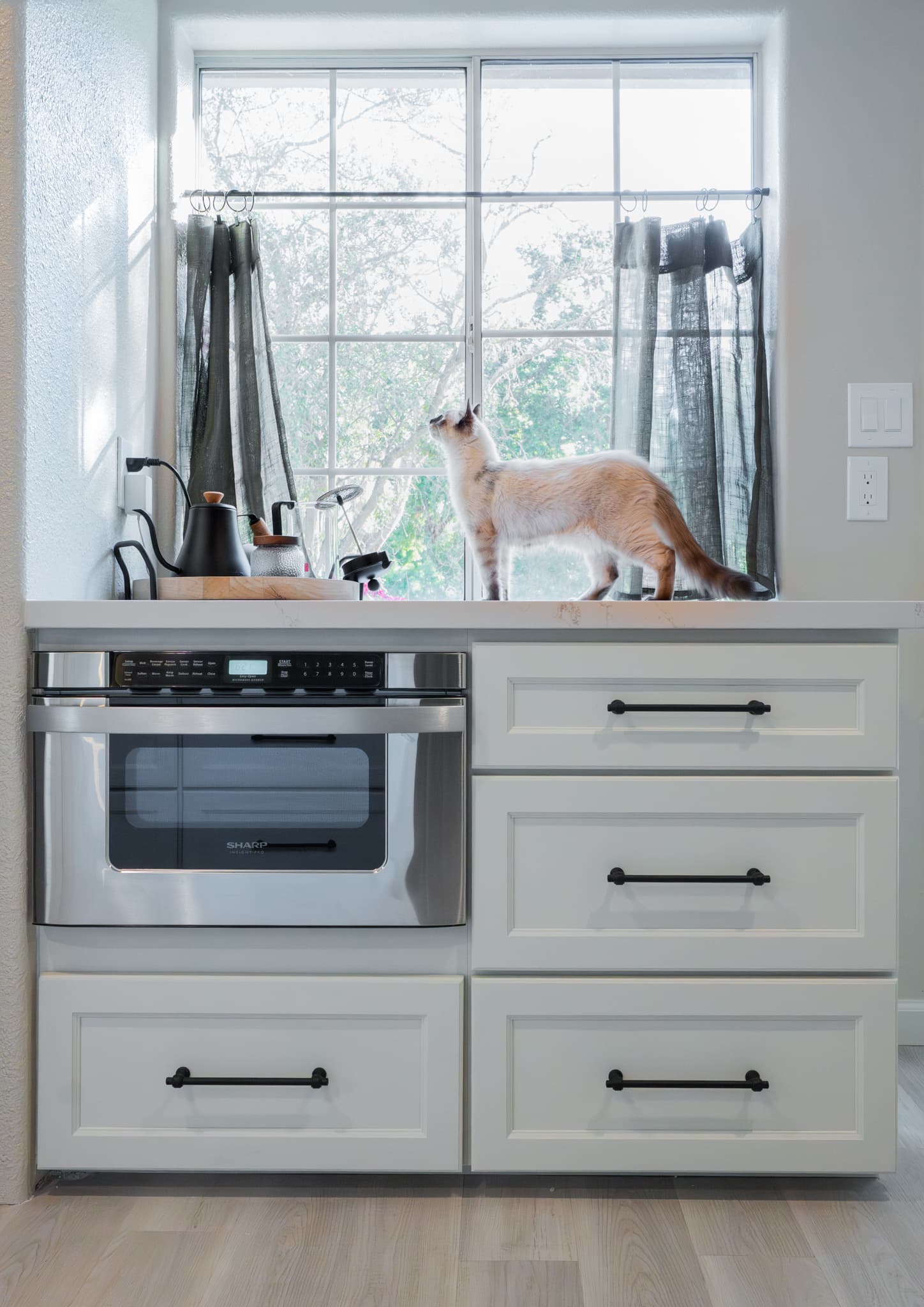 Kitchen Remodel in Rocklin — raised-panel cabinets, stainless appliances, quartz countertop, luxury vinyl plank, double oven